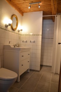 Nyrenoverat badrum med dusch